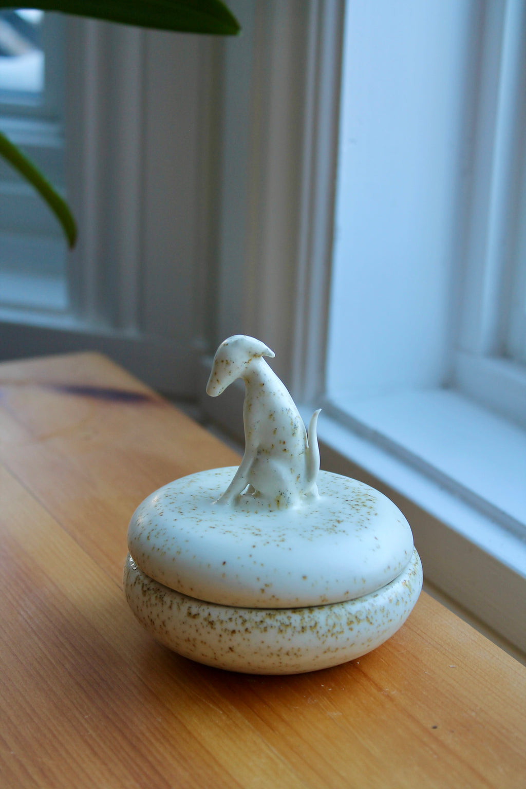 Coffret lévrier whippet