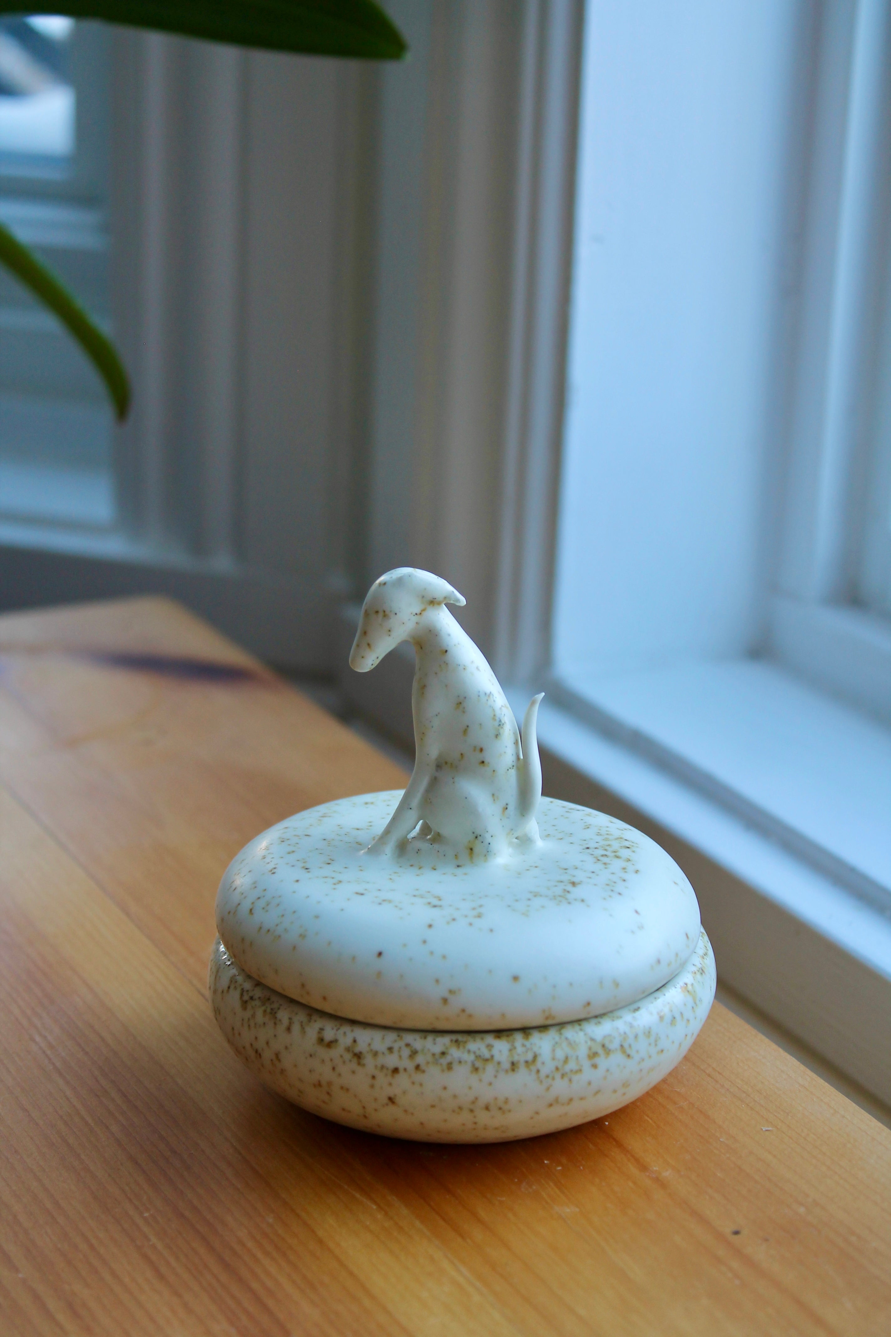 Coffret lévrier whippet