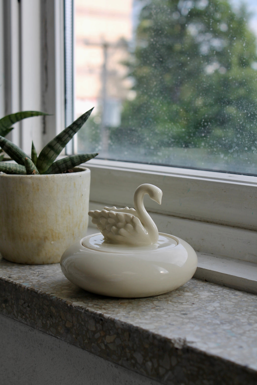 Coffret Cygne