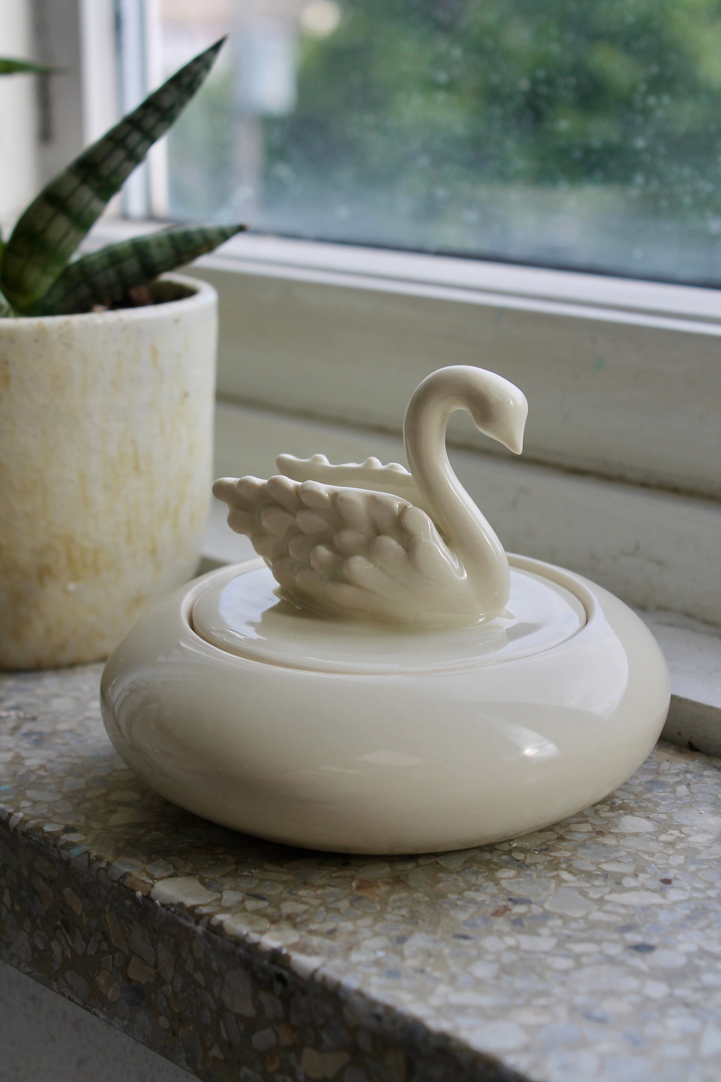 Coffret Cygne