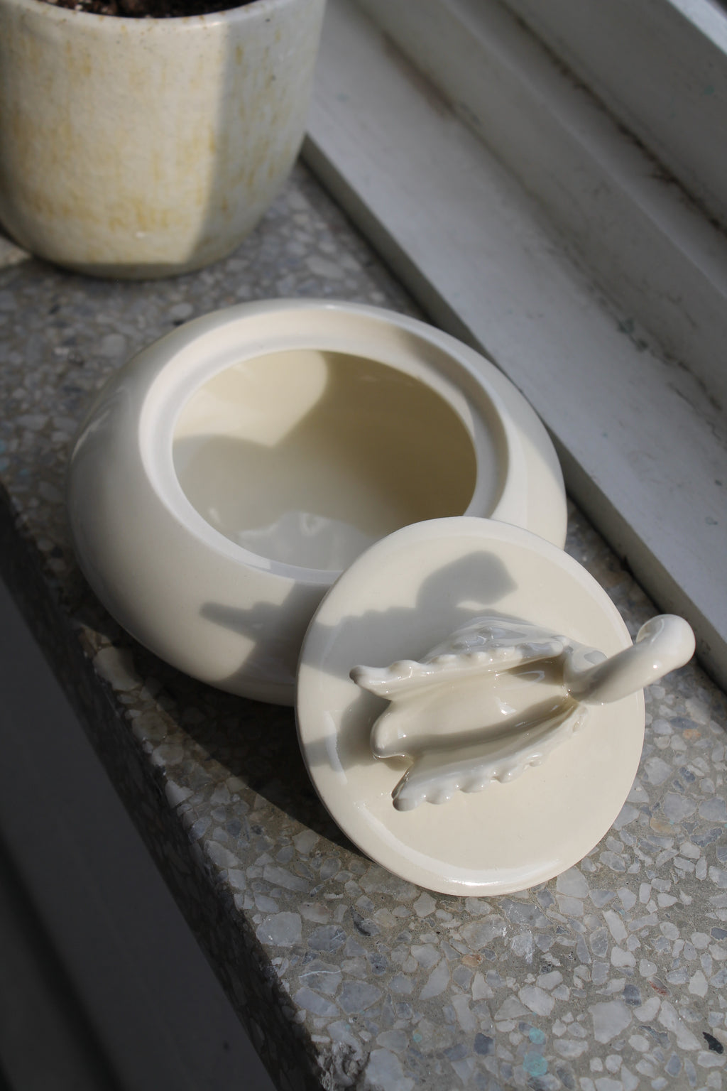 Coffret Cygne