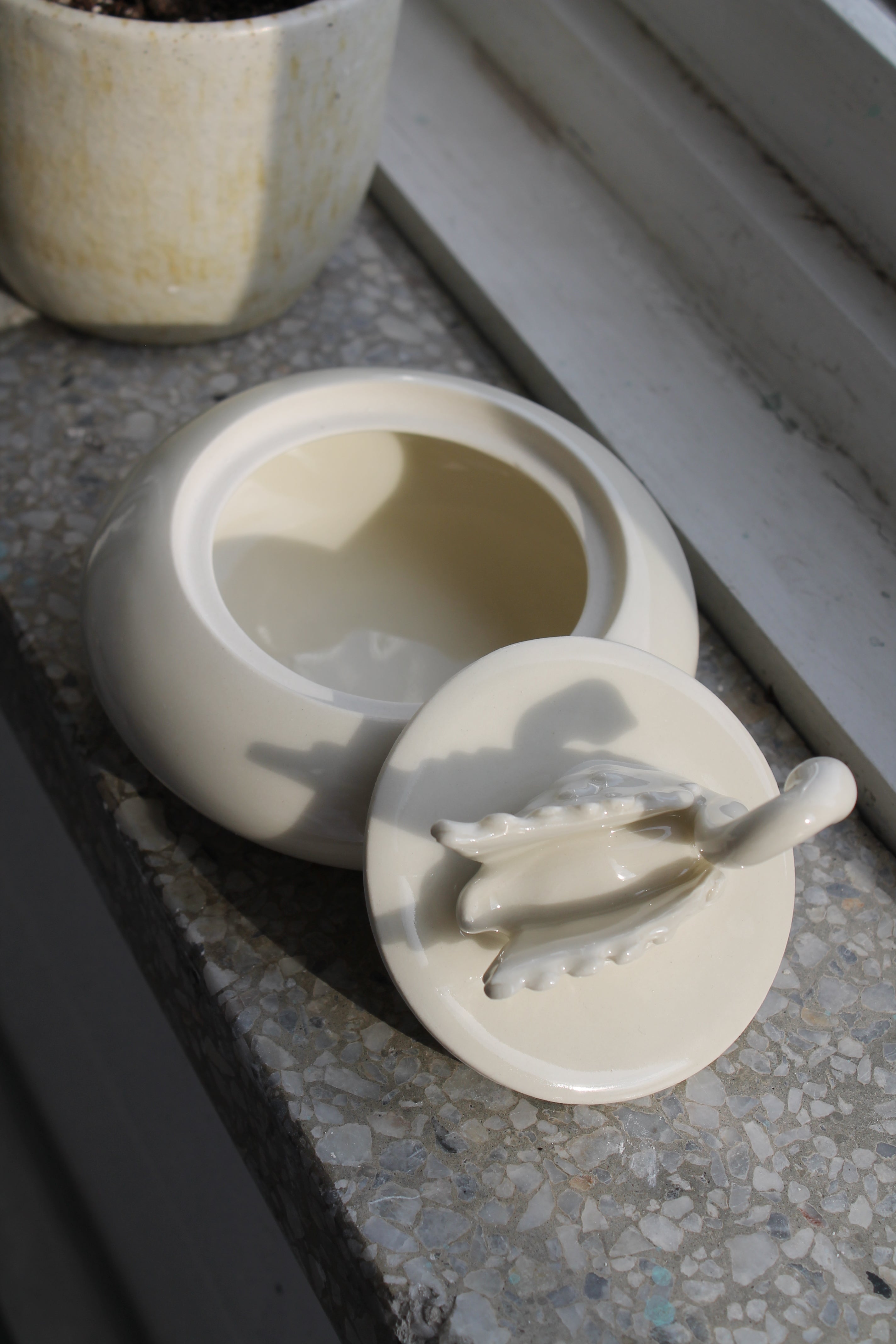 Coffret Cygne